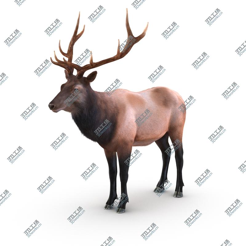 images/goods_img/2021040232/Elk Rigged with Fur/3.jpg